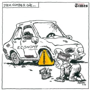 subsidy-carton