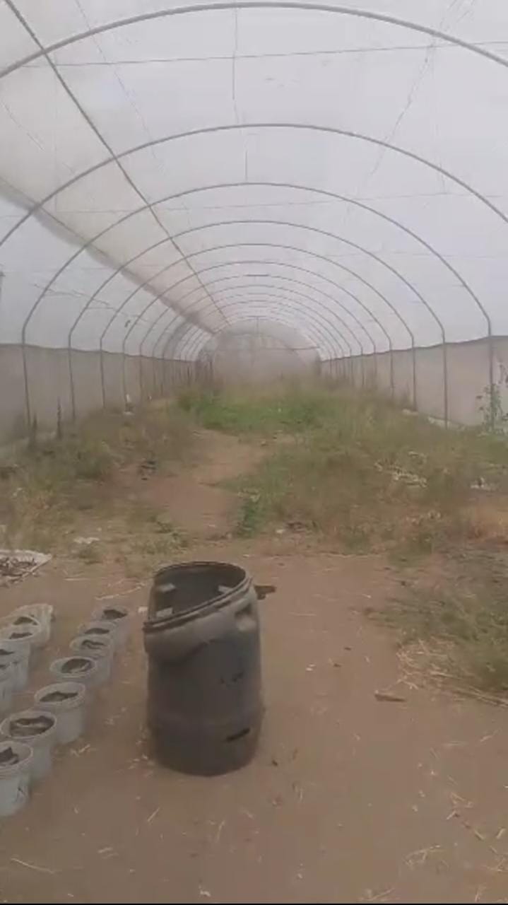 Greenhouse in Uniabuja