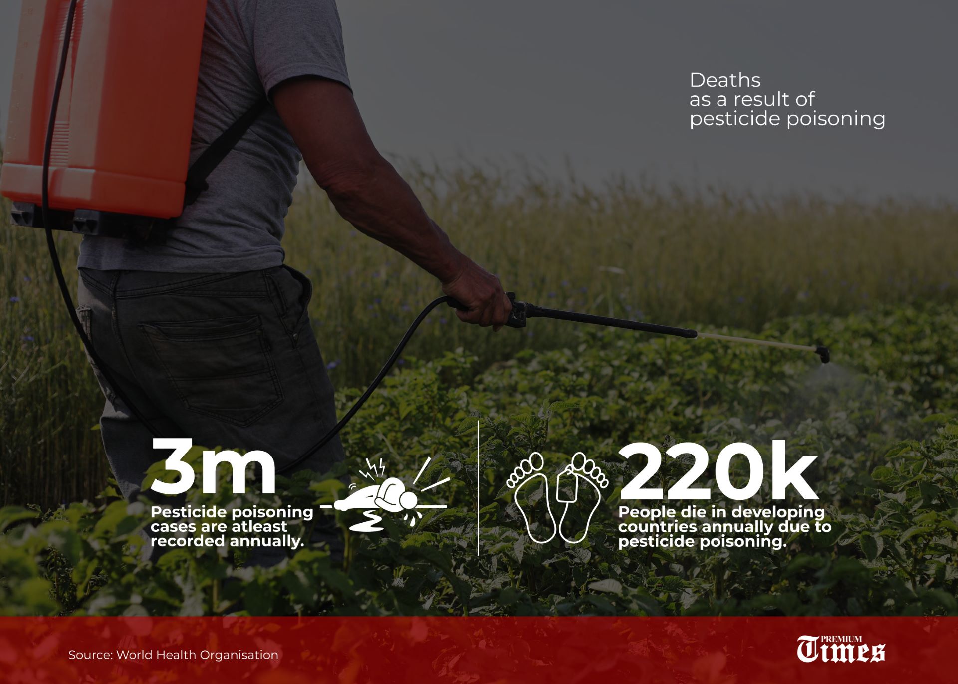 INFOGRAPHIC: Data on deadly pesticide poisoning across the globe.