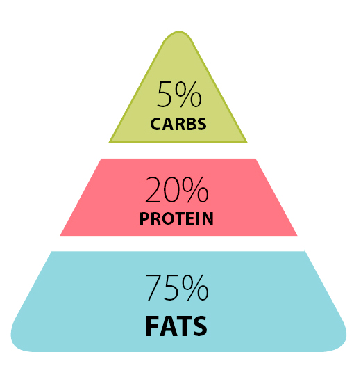 The Keto Diet Medicosnext
