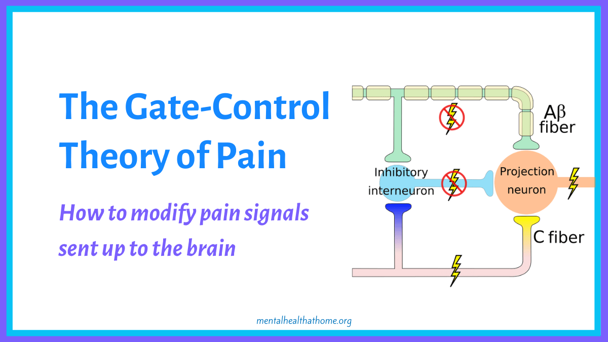 The Gate Control Theory Of Pain What It Means For Pain Control