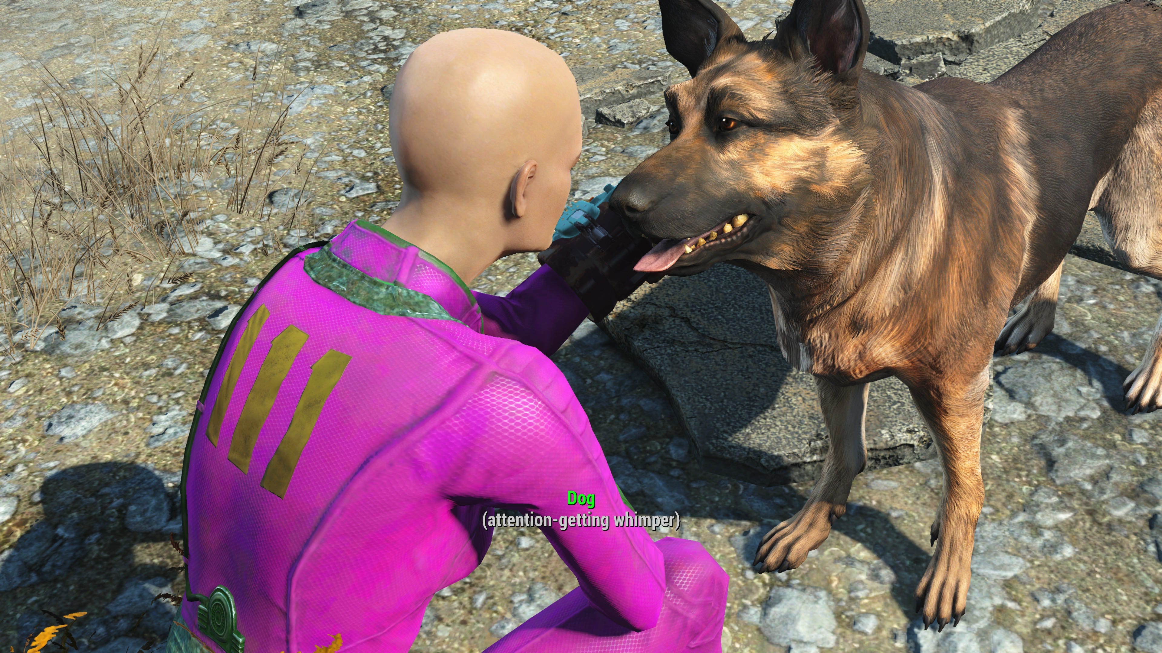 Susan’s Fallout 4 character petting Dogmeat, a German Shepherd character/companion.