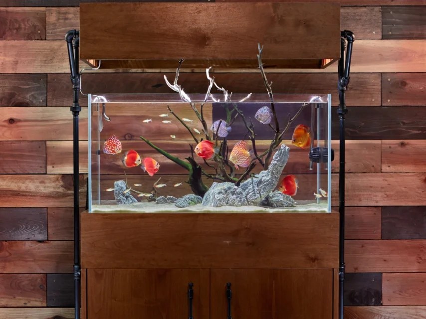 A fish tank in a room with wood paneling.