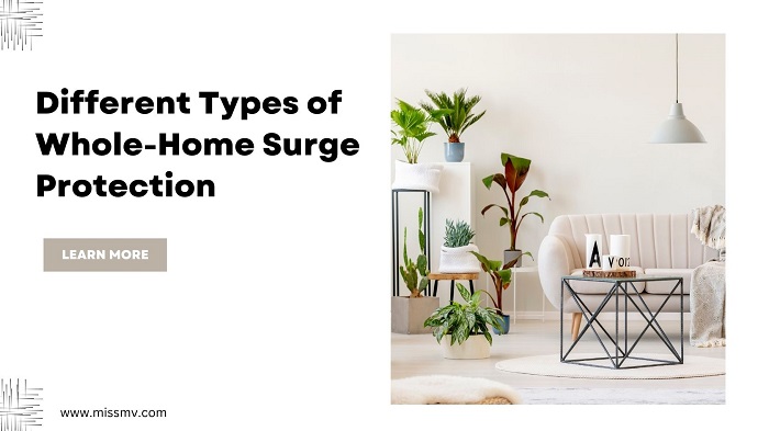 Different Types of Whole-Home Surge Protection