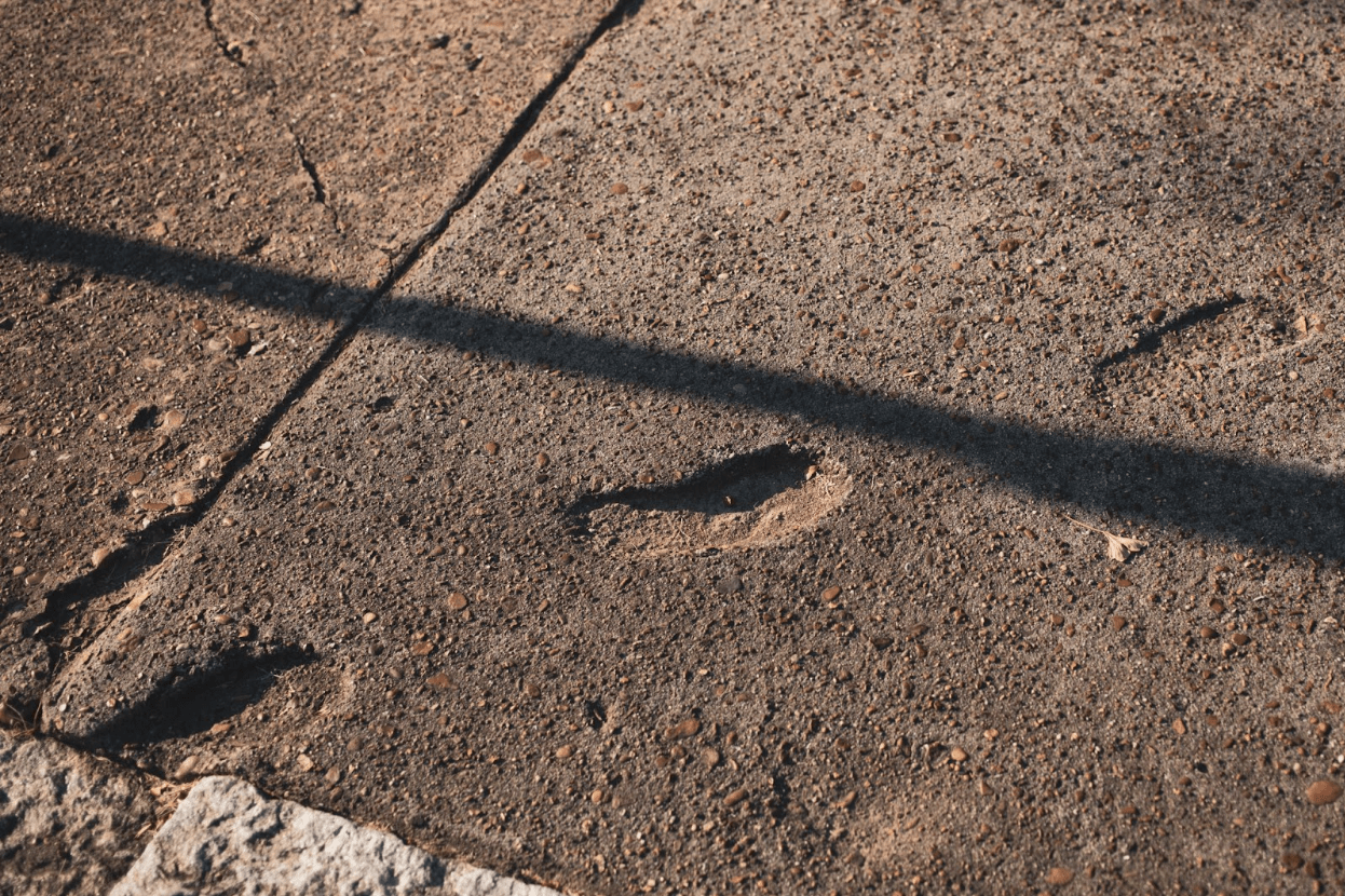 Small footprints in a cement sidewalk.