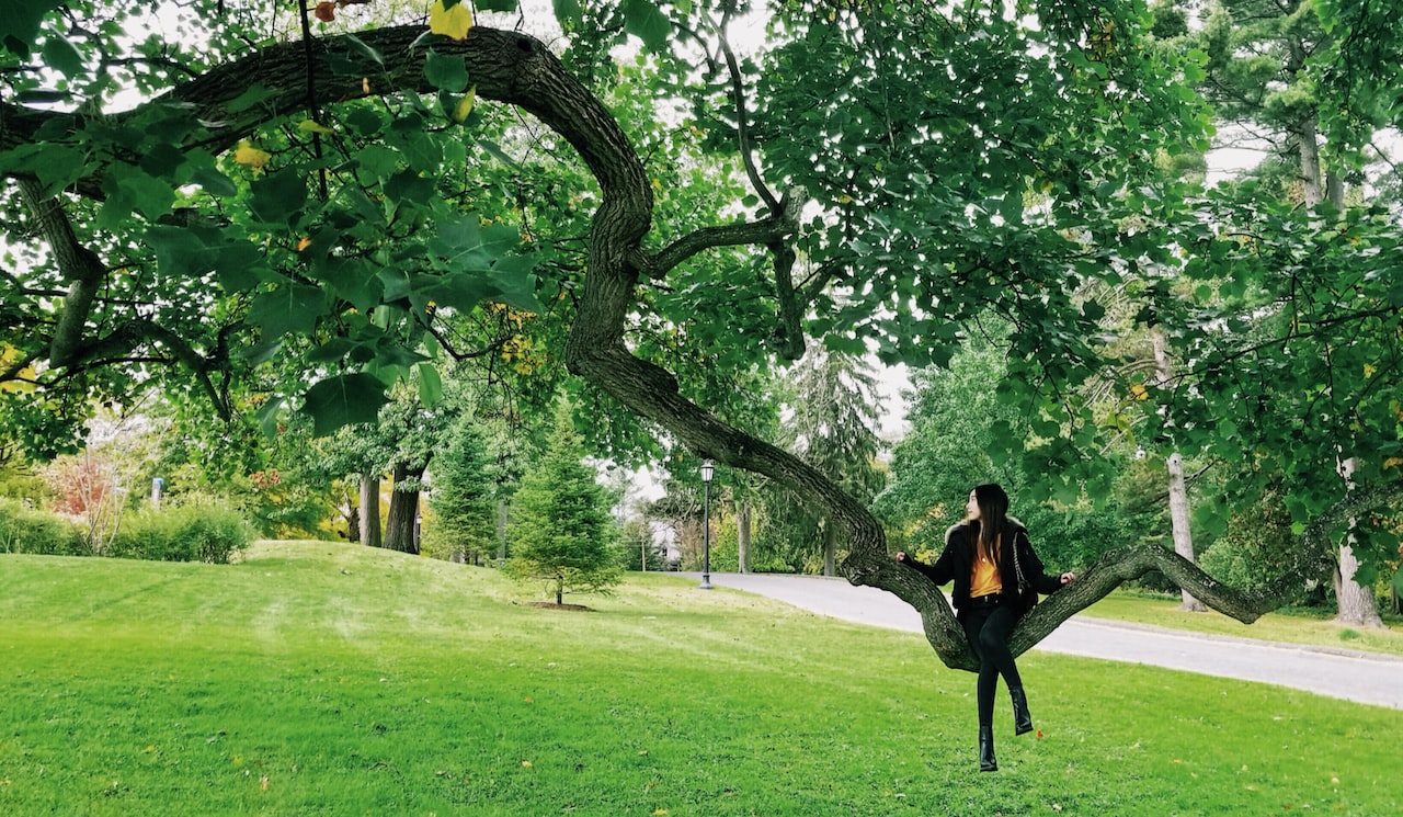 Woman in black jacket and black pants standing on green grass field during daytime