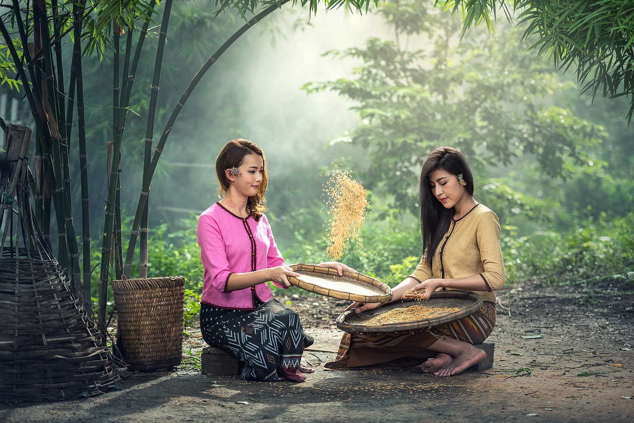 Rice, women, sitting