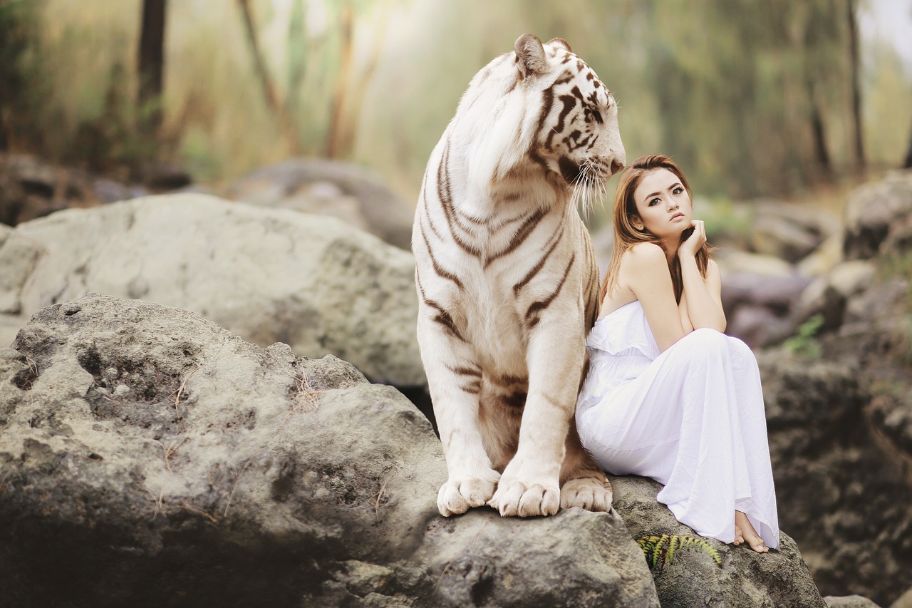 Nature, wildlife, white bengal tiger-high maintenance friends