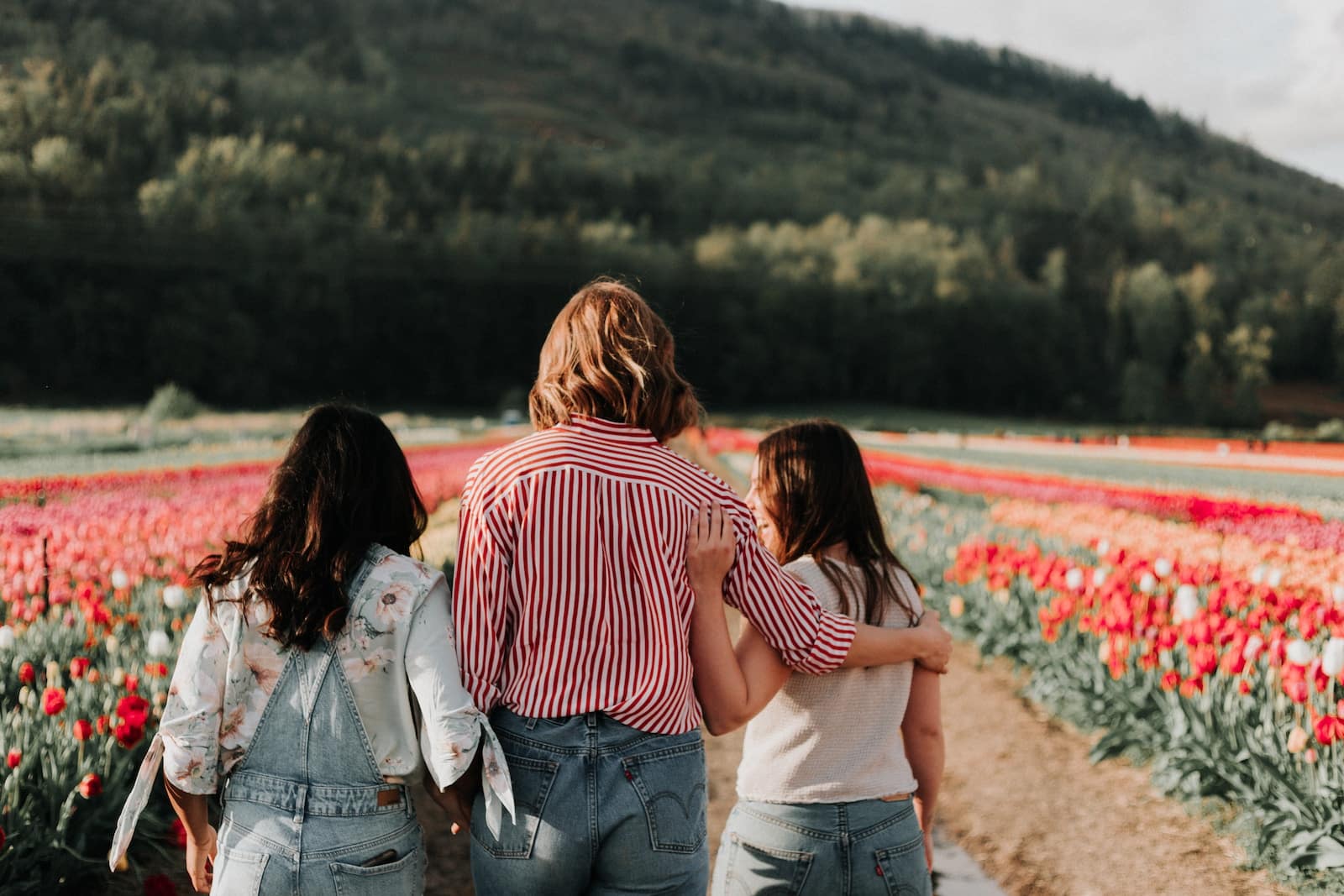 Three women walking along field of tulip flowers-short and tall friends