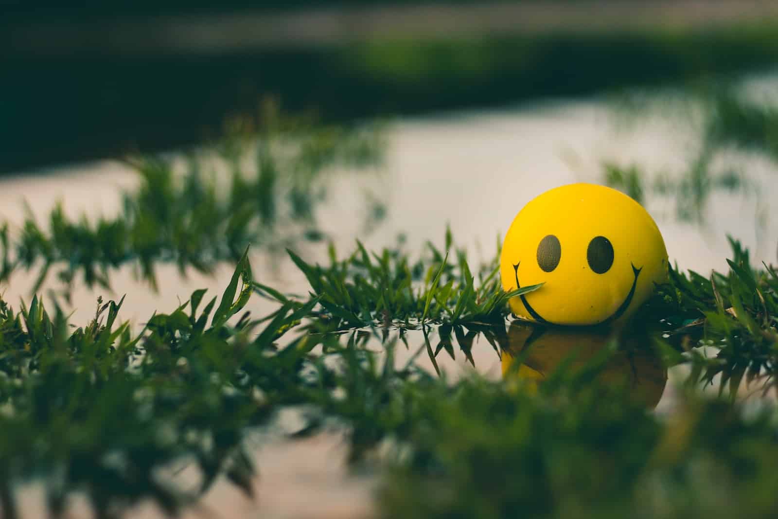 A yellow ball with a smiley face sitting in the grass-attitude and what are its types