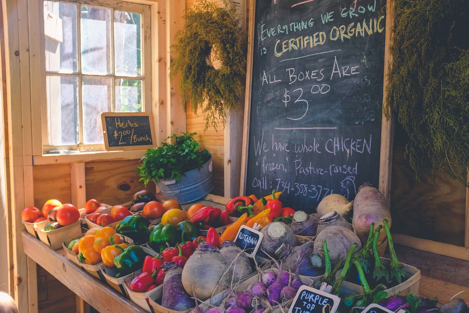 Variety of vegetables display with certified organic signage-10 benefits of organic food