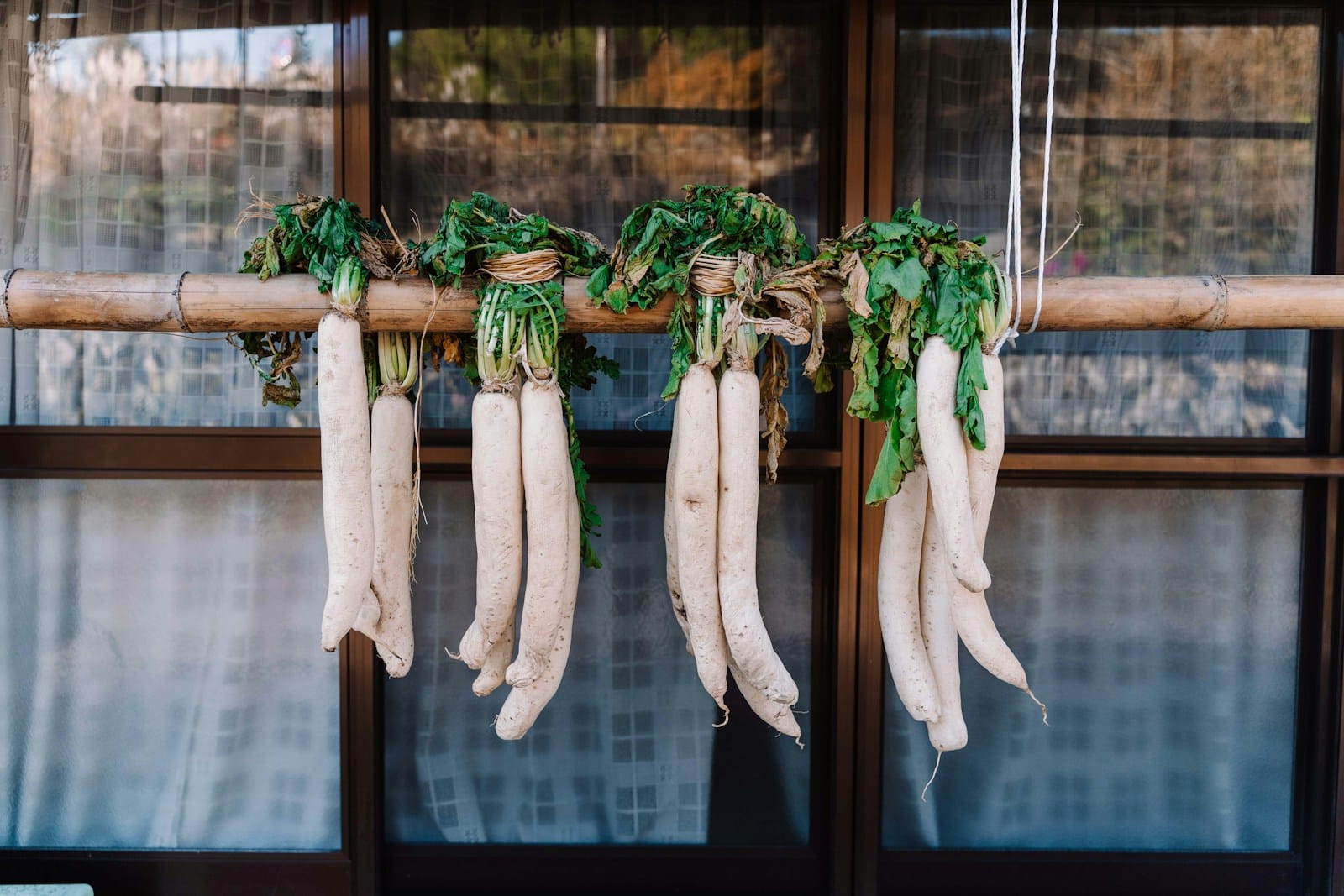 Green and white vegetables on glass window-eating radish at night