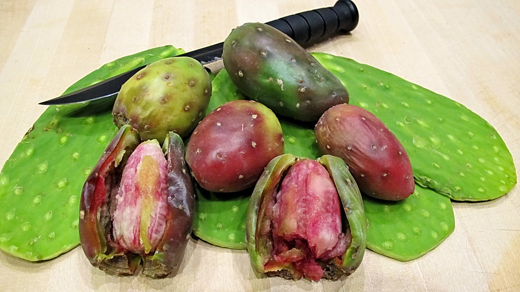 Prickly pear oil on a tray-prickly pear oil benefits
