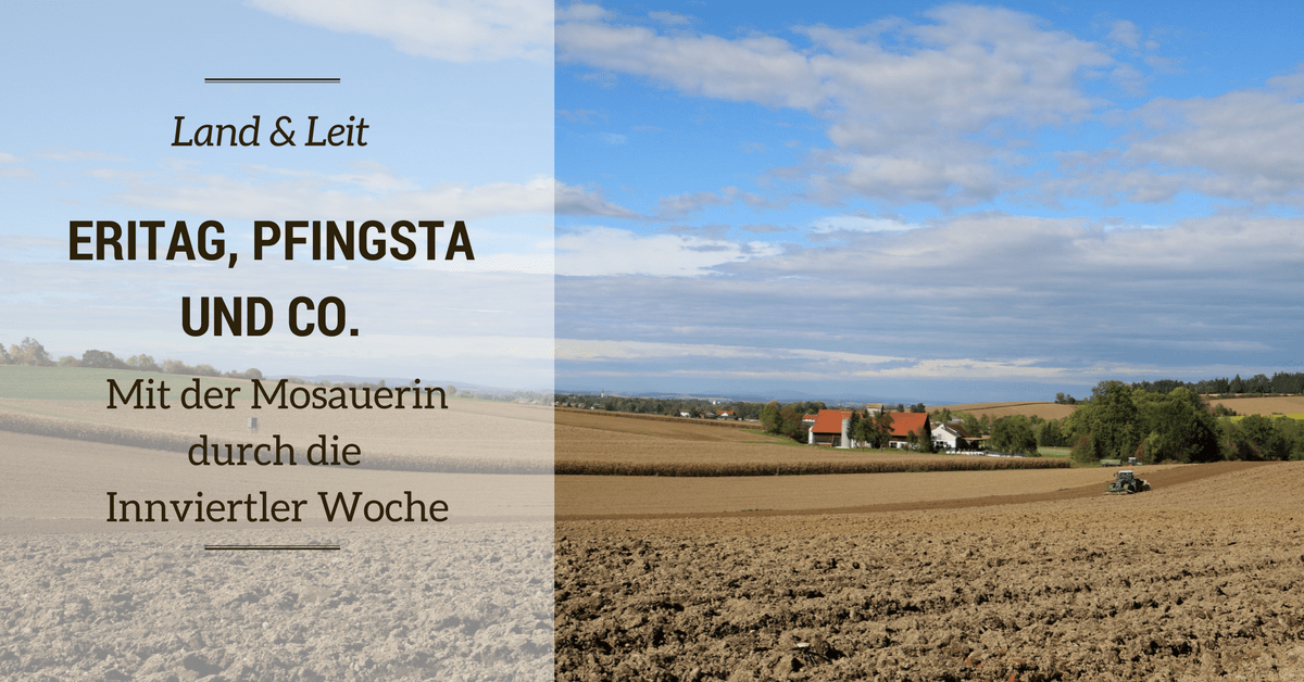 Eridog Pfingsta Und Co Mit Der Mosauerin Durch Die Innviertler Woche Mosauerin Der Landblog Aus Dem Innviertel