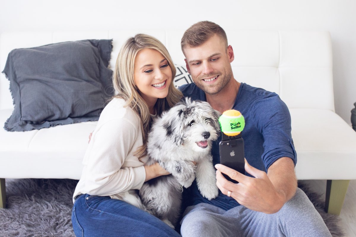 Pooch Selfie Net Worth Mr Junkychunky