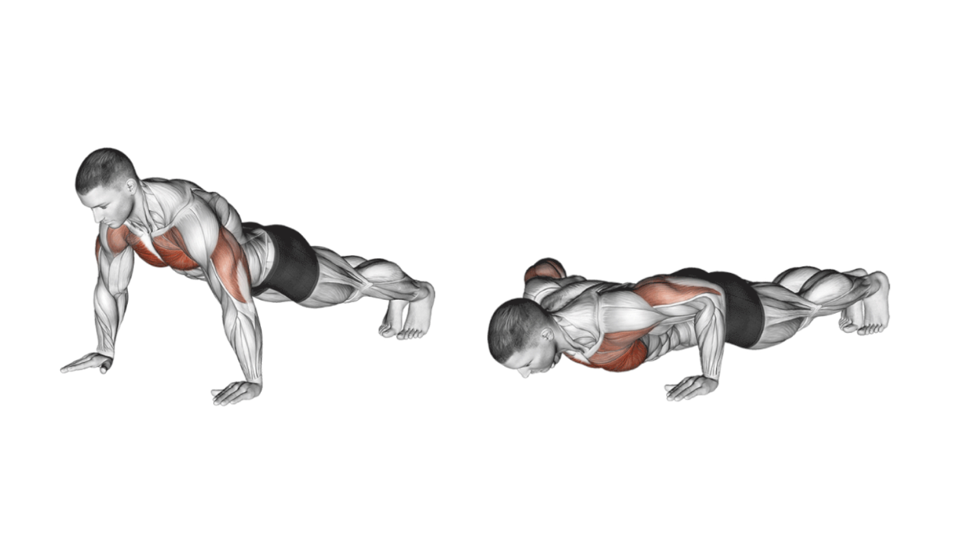 Pompes Muscu Street Et Crossfit