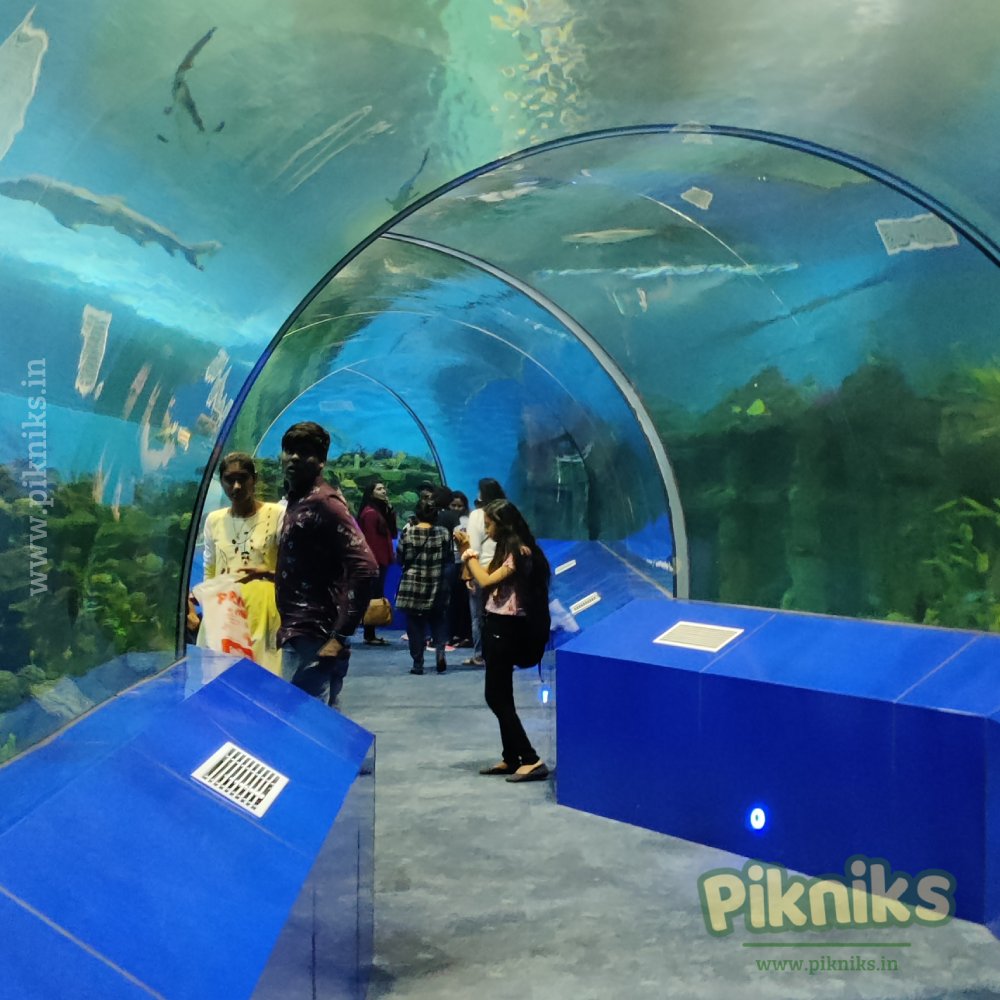 Top 10 Places For Kids In And Around From Ahmedabad Places Of Children