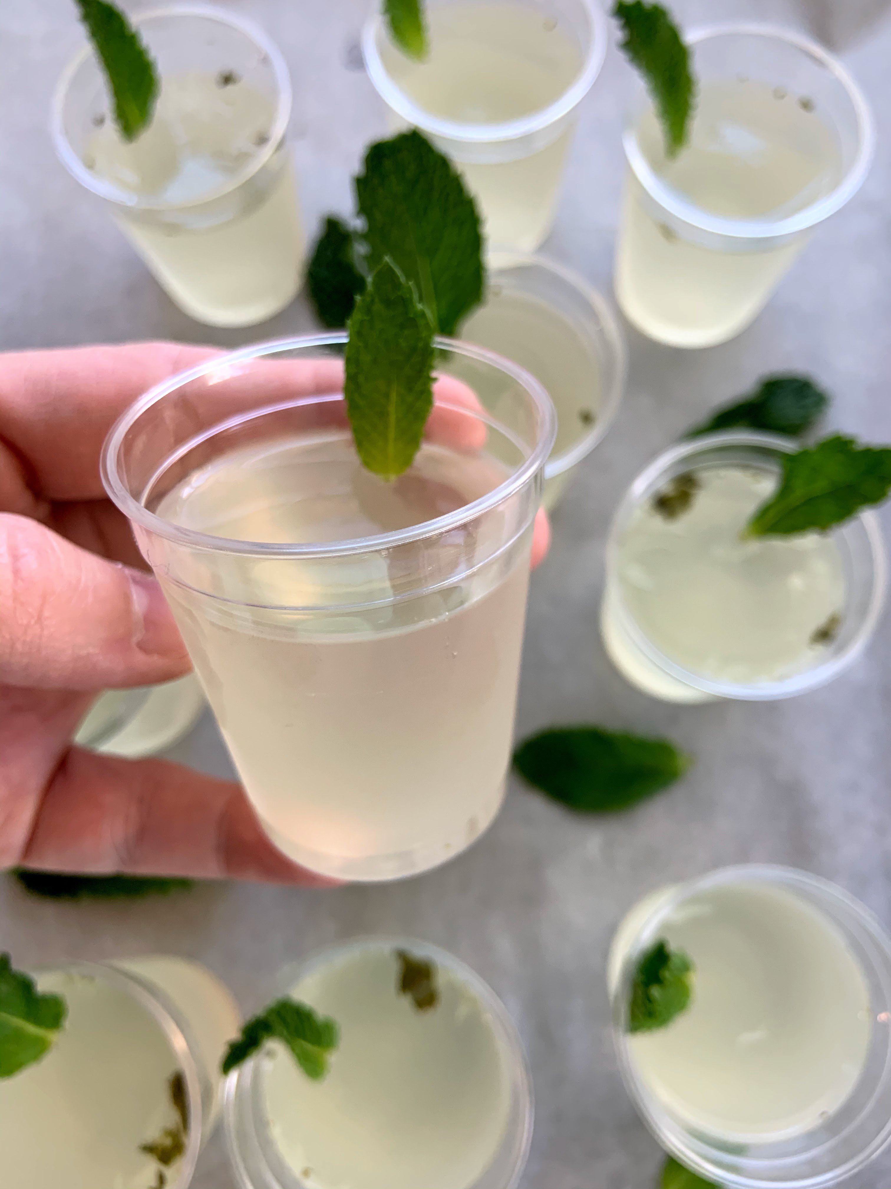 Mojito Jello Shots My Mini Adventurer