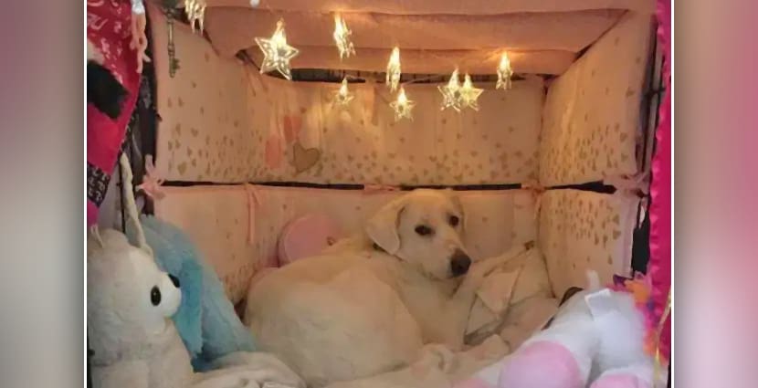 Cozy Crate Archives Positive Outlooks