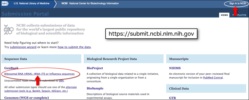 submission portal page with genbank link