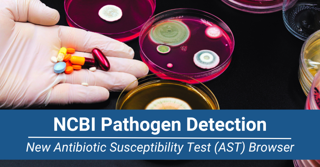 NCBI Pathogen Detection Presents the Antibiotic Susceptibility Test (AST) Browser