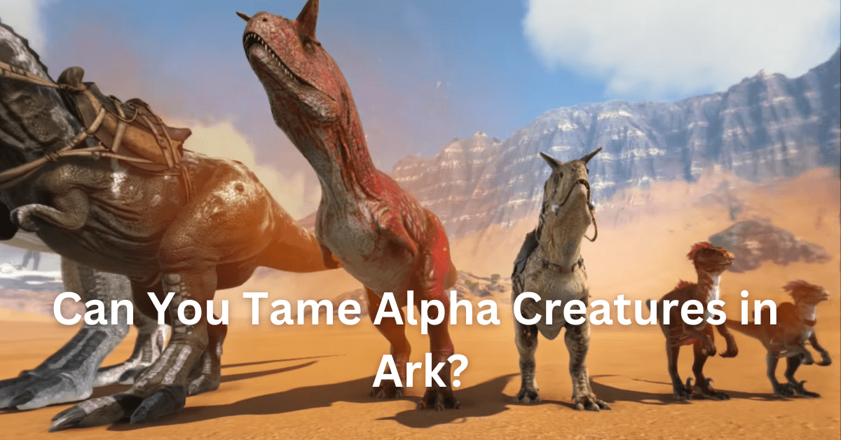 How To Make Veggie Cakes Ark Nerd Lodge