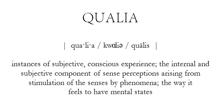 Qualia Definition