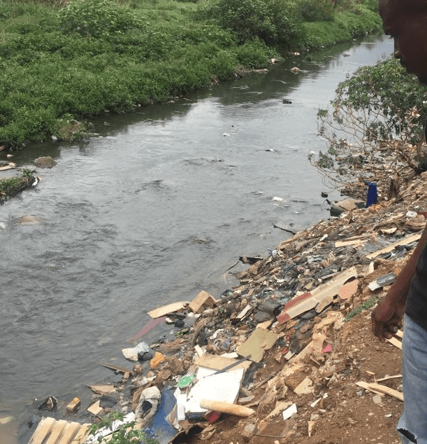 Jukskei Swells After Heavy Rains News365 Co Za