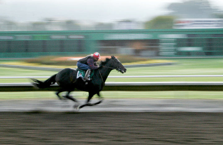 Golden Gate Fields, Northern California’s only horse racing track, will close