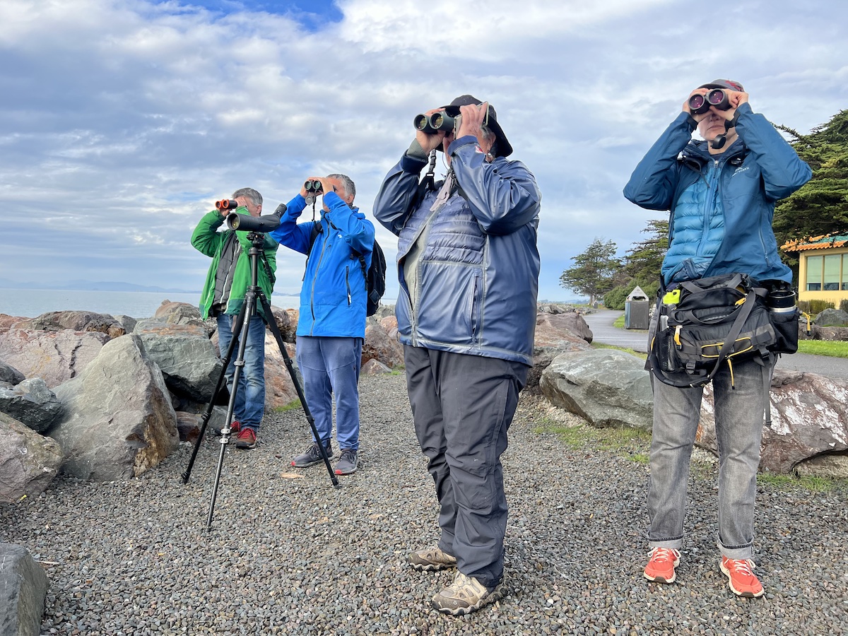 For 82 years, birds have been counted around Christmas in the East Bay