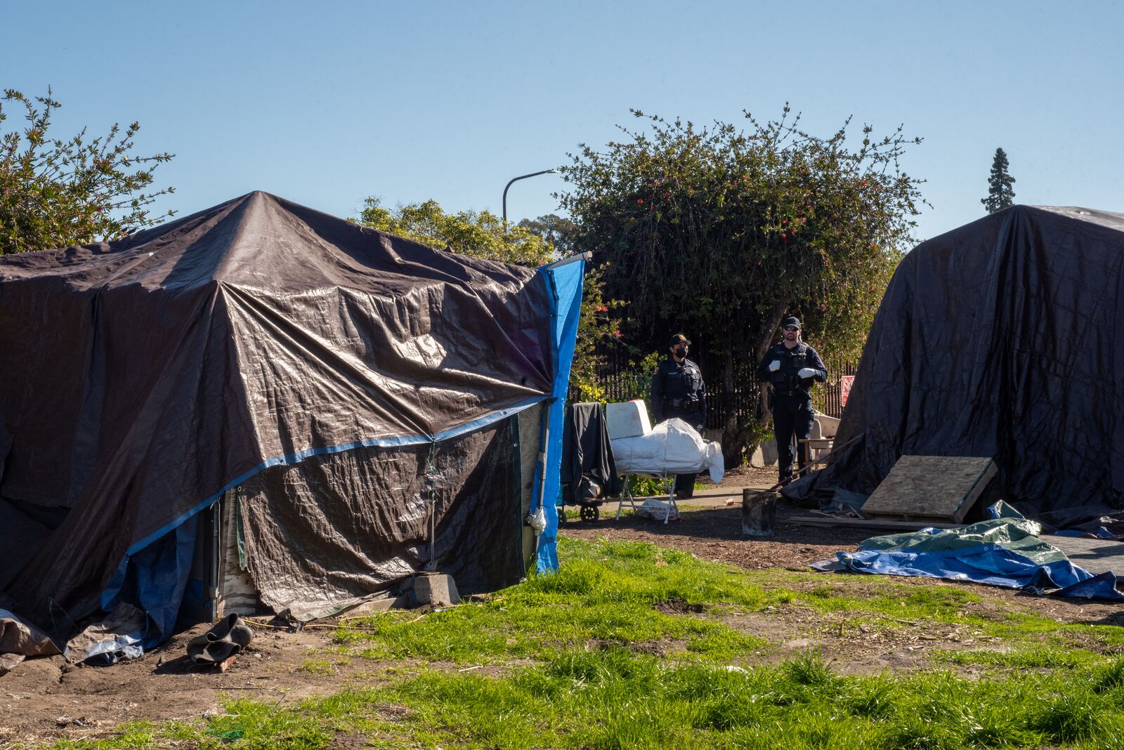 Homeless count shows 45% drop in unsheltered people in Berkeley