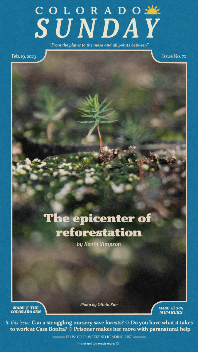 Colorado Sunday issue 70: "The epicenter of reforestation"