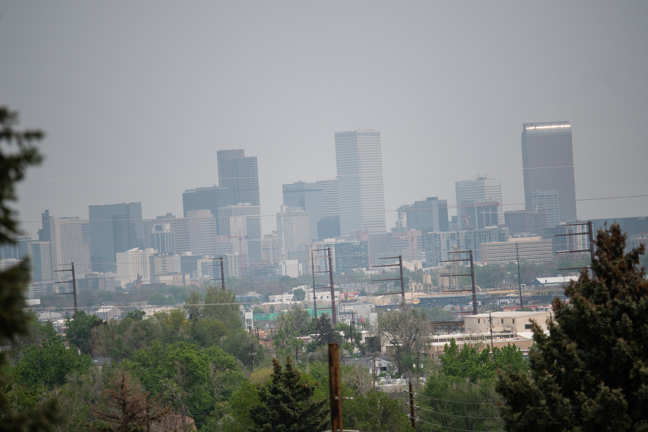 Distant view of Denver's downtown with numerous high-rise buildings shrouded in haze, bordered by green trees in the foreground.