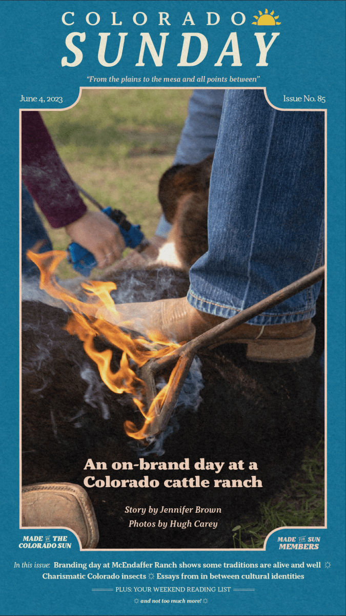 Colorado Sunday issue No. 85: "An on-brand day at a Colorado cattle ranch"