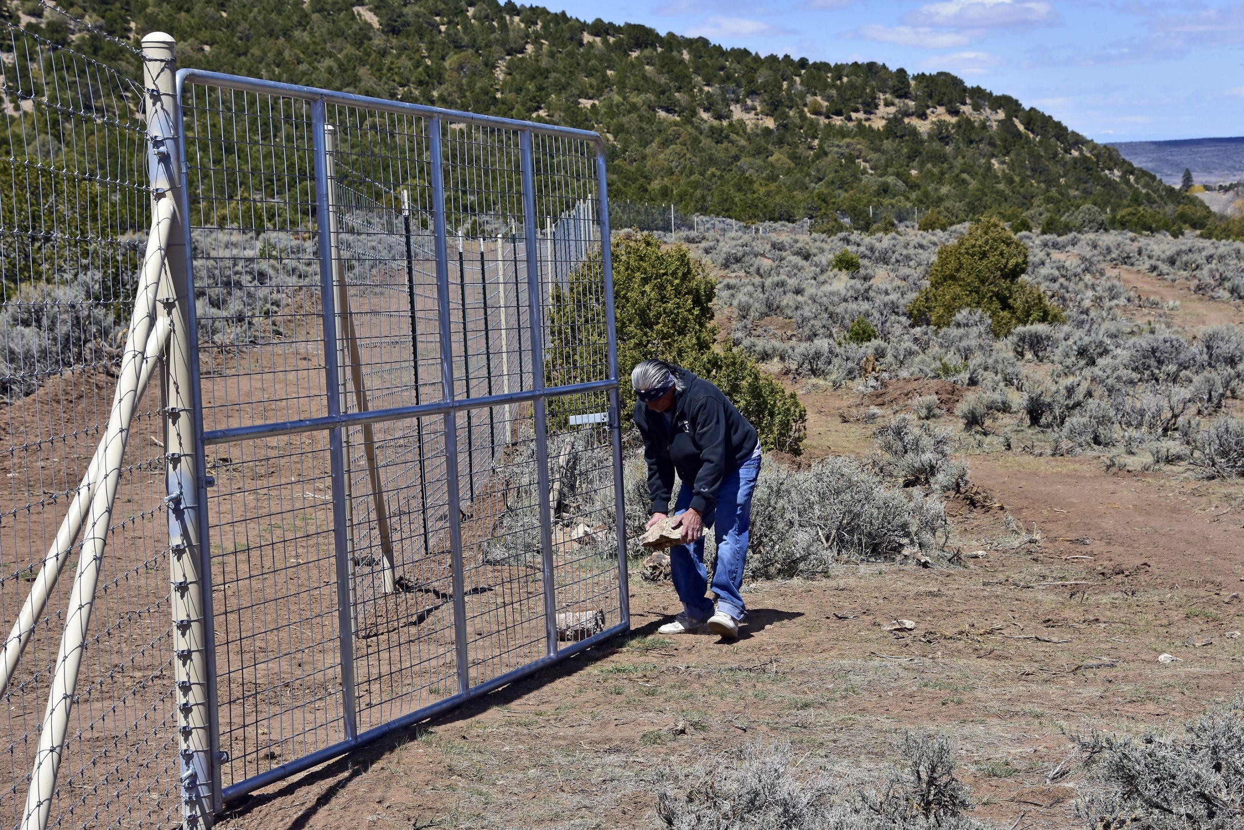 A person in a blue jacket and hat is securing a gate in a metal fence in a dry, shrub-covered landscape with trees and hills in the background.