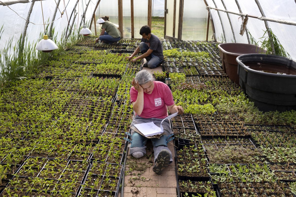 Three people work inside a greenhouse filled with seedlings. One person sits reading a document while the other two tend to plants in the background.