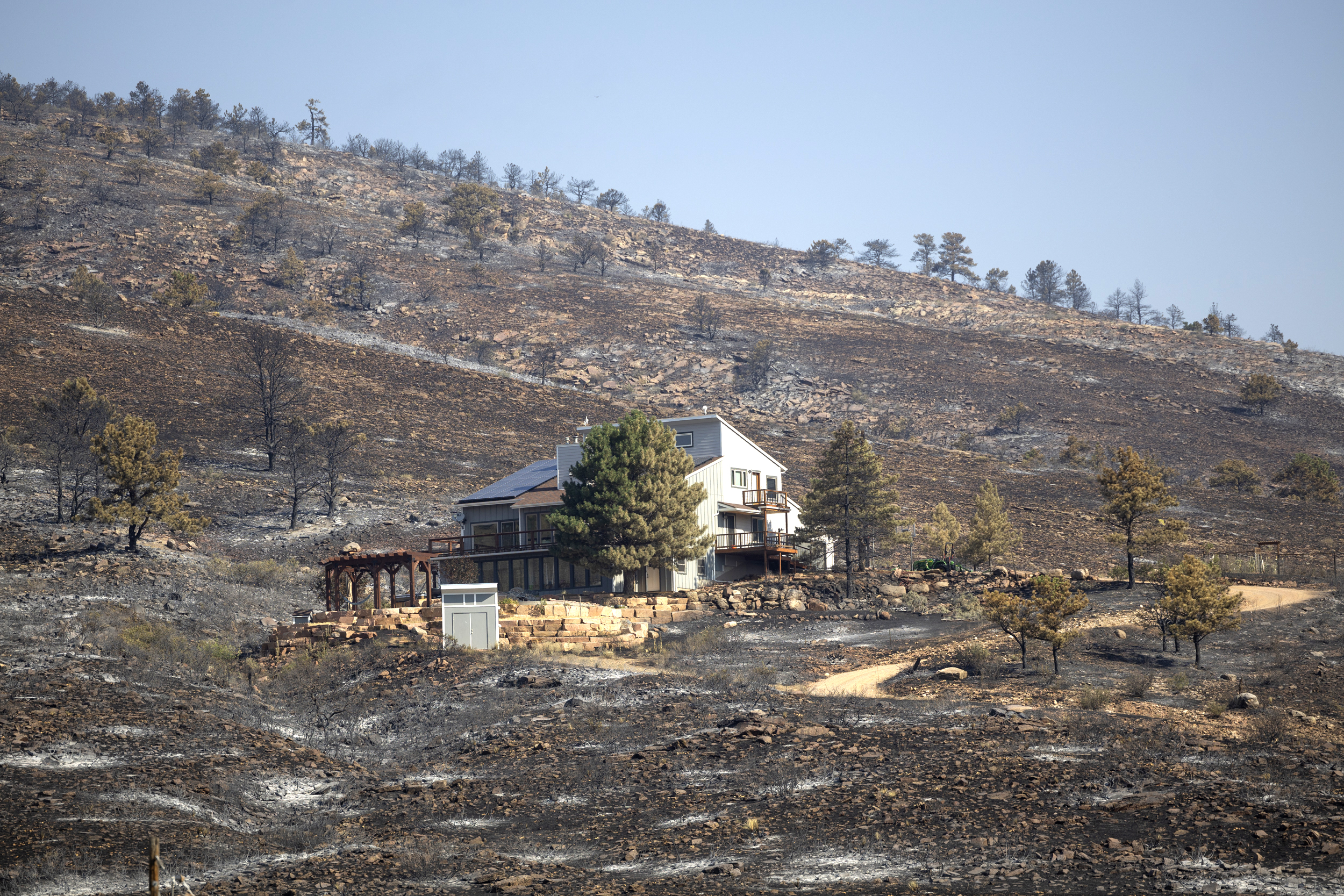 A house stands undamaged amid a charred landscape with burnt trees and ground following a wildfire. A dirt road leads to the house, and there are sparse green trees surrounding the property.