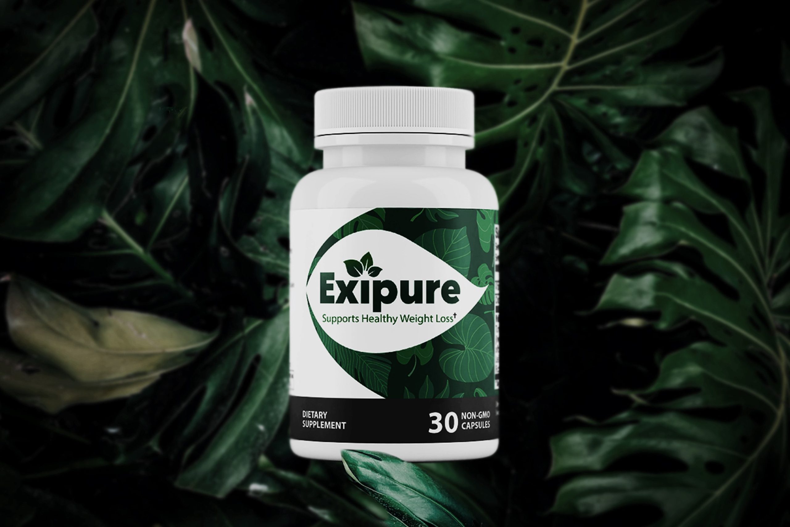 Exipure Reviews Breaking New Report Reveals Untold Facts About The Exipure Weight Loss Supplement Ingredients Benefits And Much More