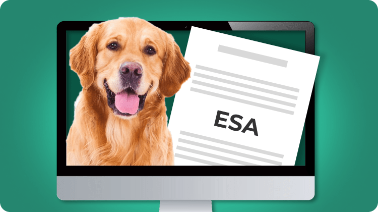 5 ESA Letter Sites to get your Emotional Support Animal Letter