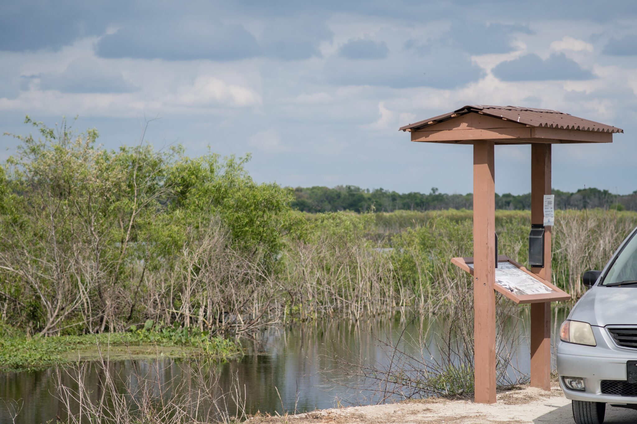 Wildlife Drive in Central Florida | Next Stop Adventures