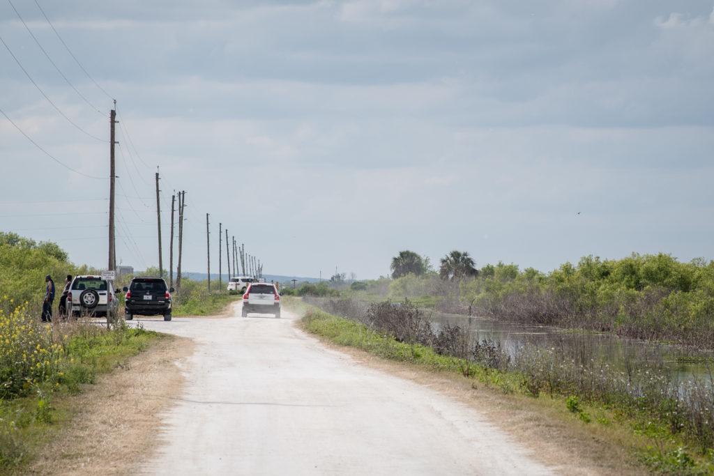 lake apopka wildlife drive