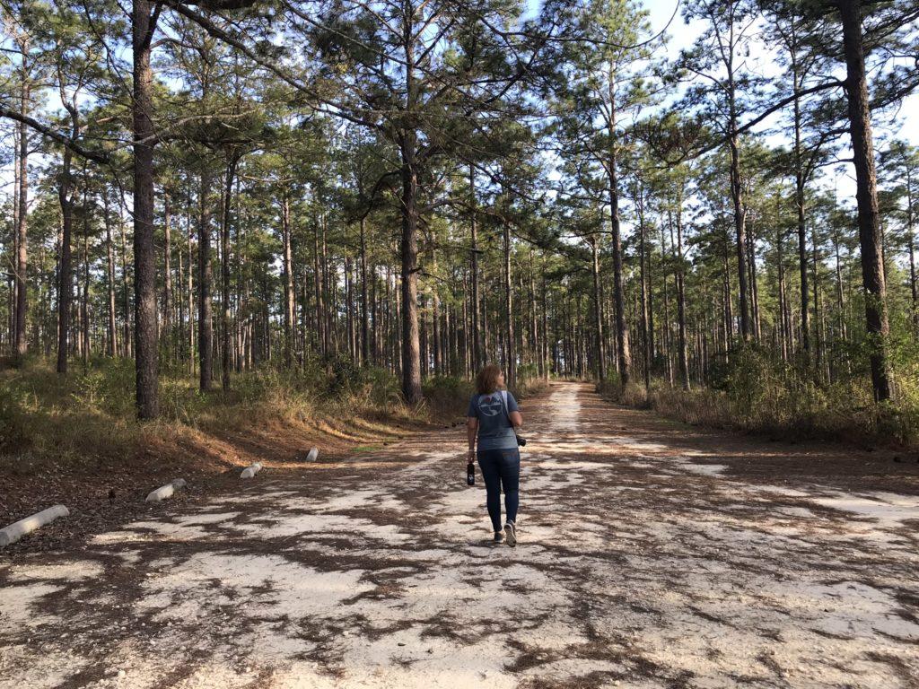 hiking in falling rivers state park