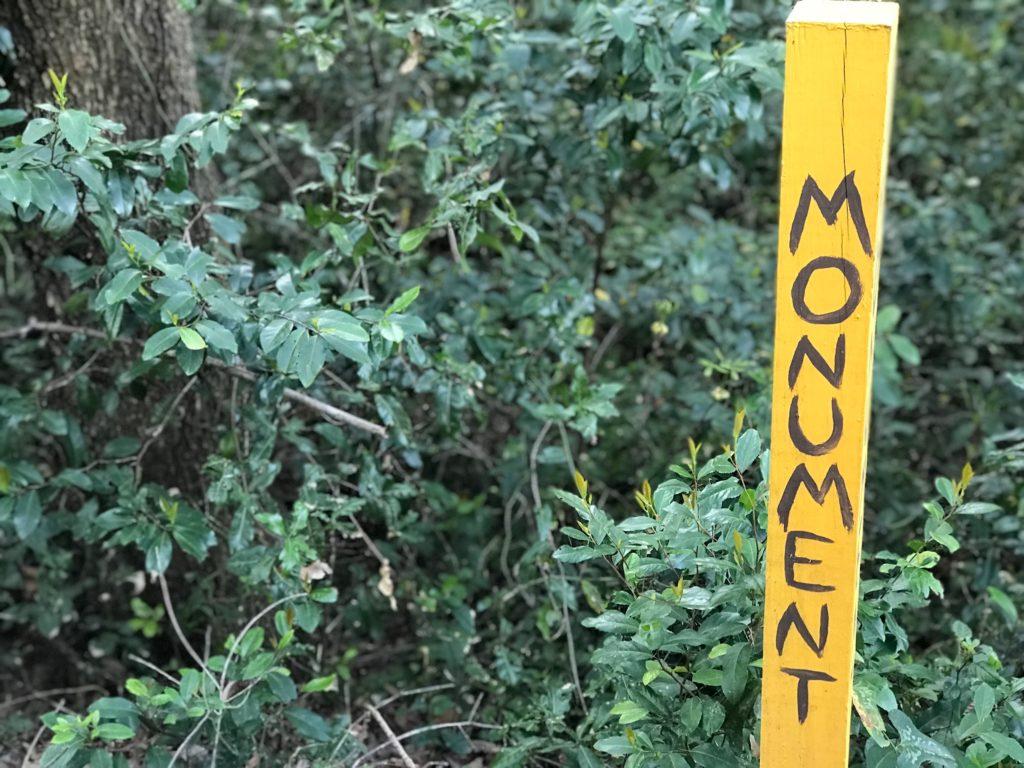 lake apopka loop trail hike