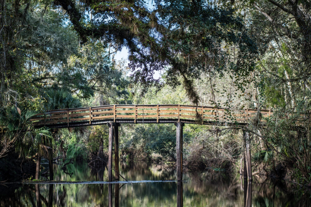 exploring hillsborough river state park next stop adventures