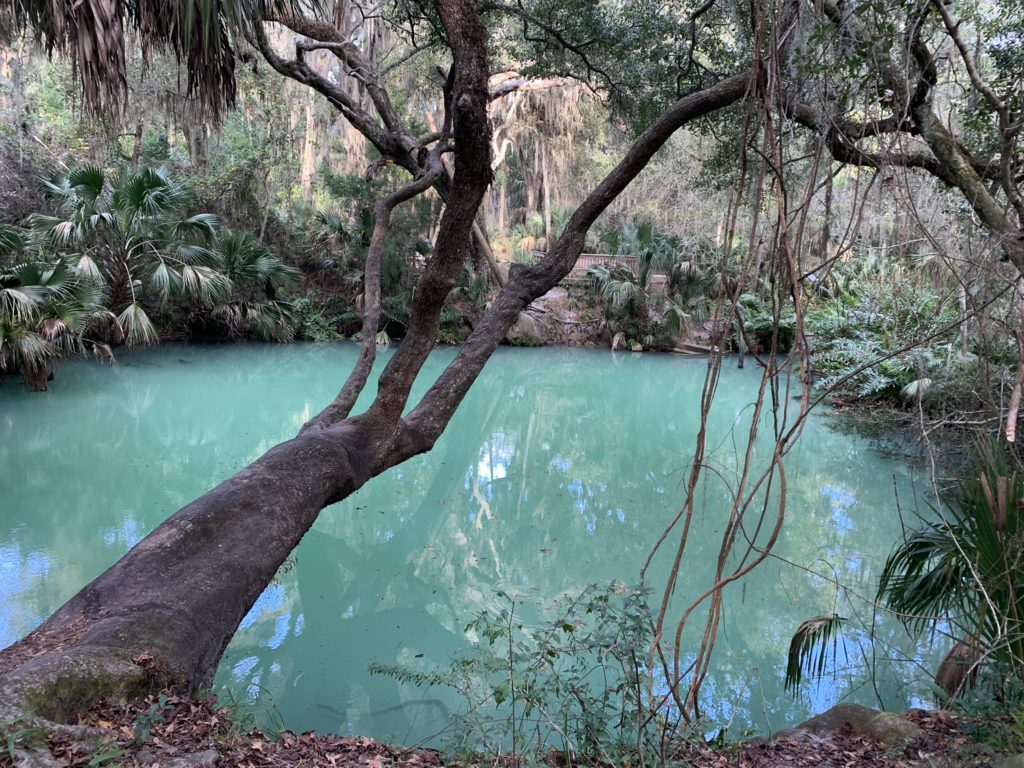 green springs in Deltona