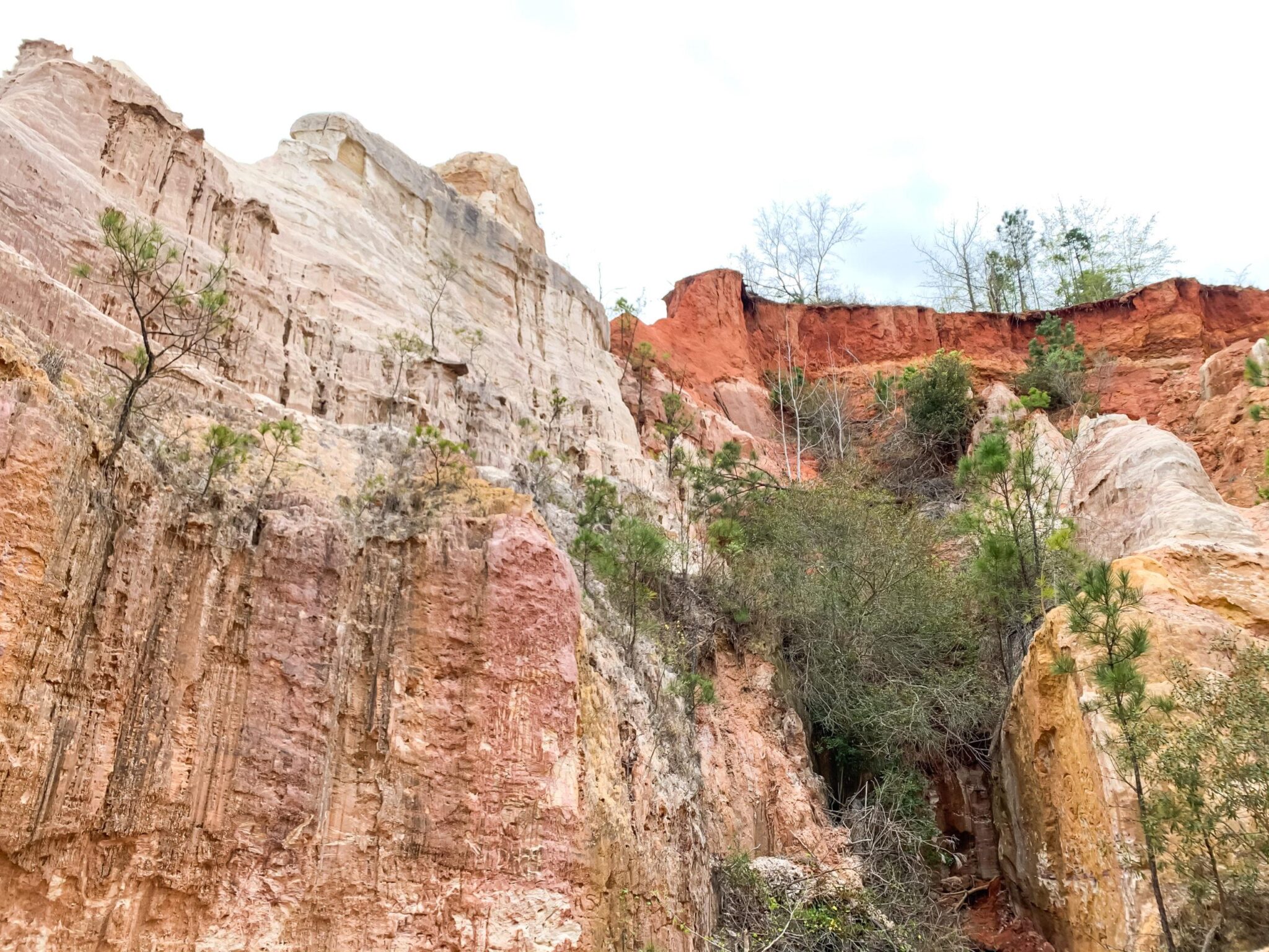 hiking on Georgia's Little Grand Canyon