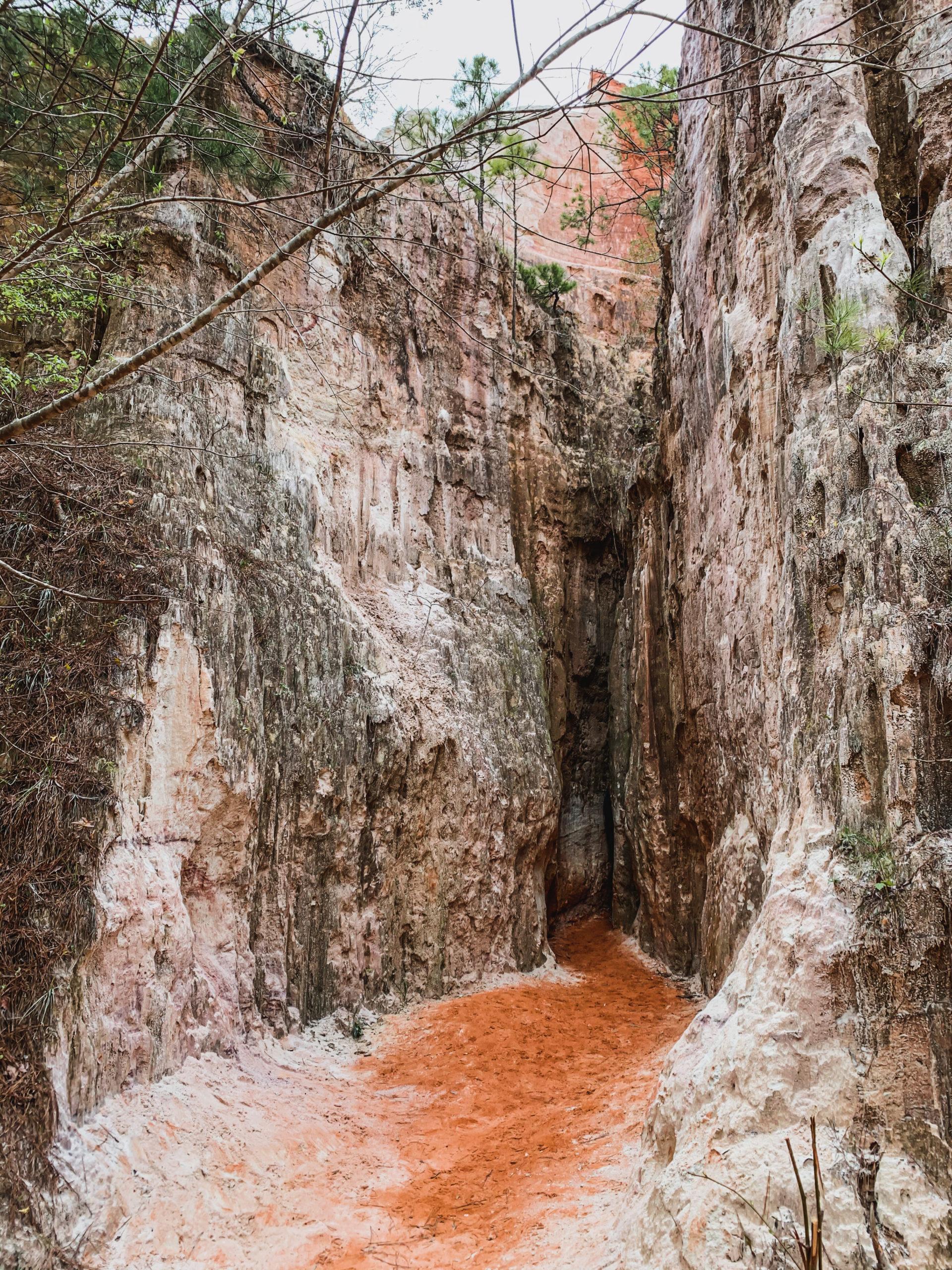 Little Grand Canyon at Providence Canyon State Park in Georgia