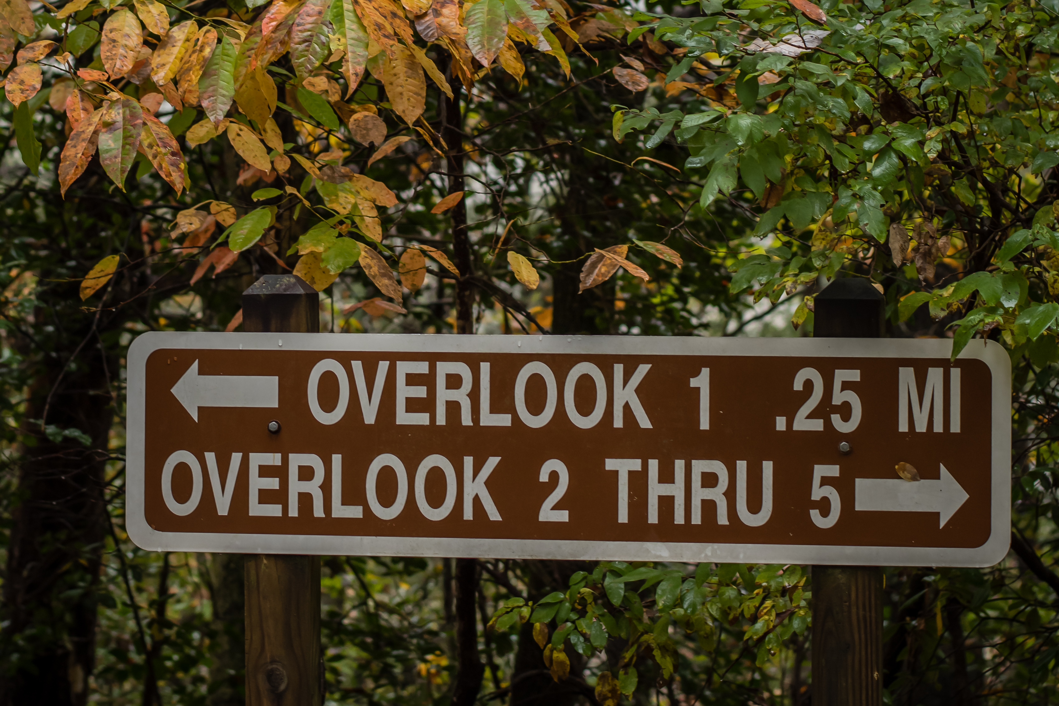 brown interpretative signs on hiking trails