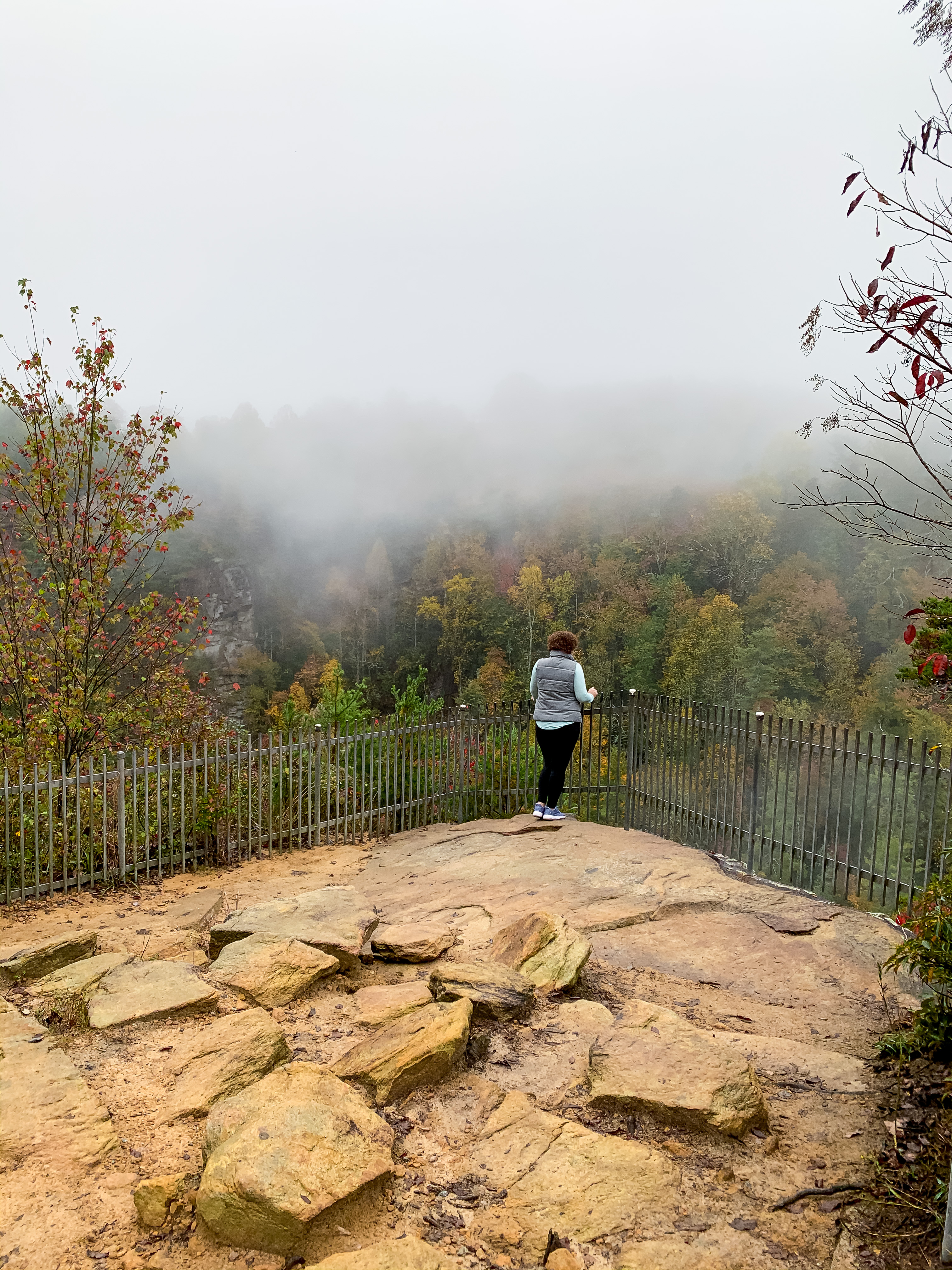 woman overlooking the fall foliage at Georgia state park