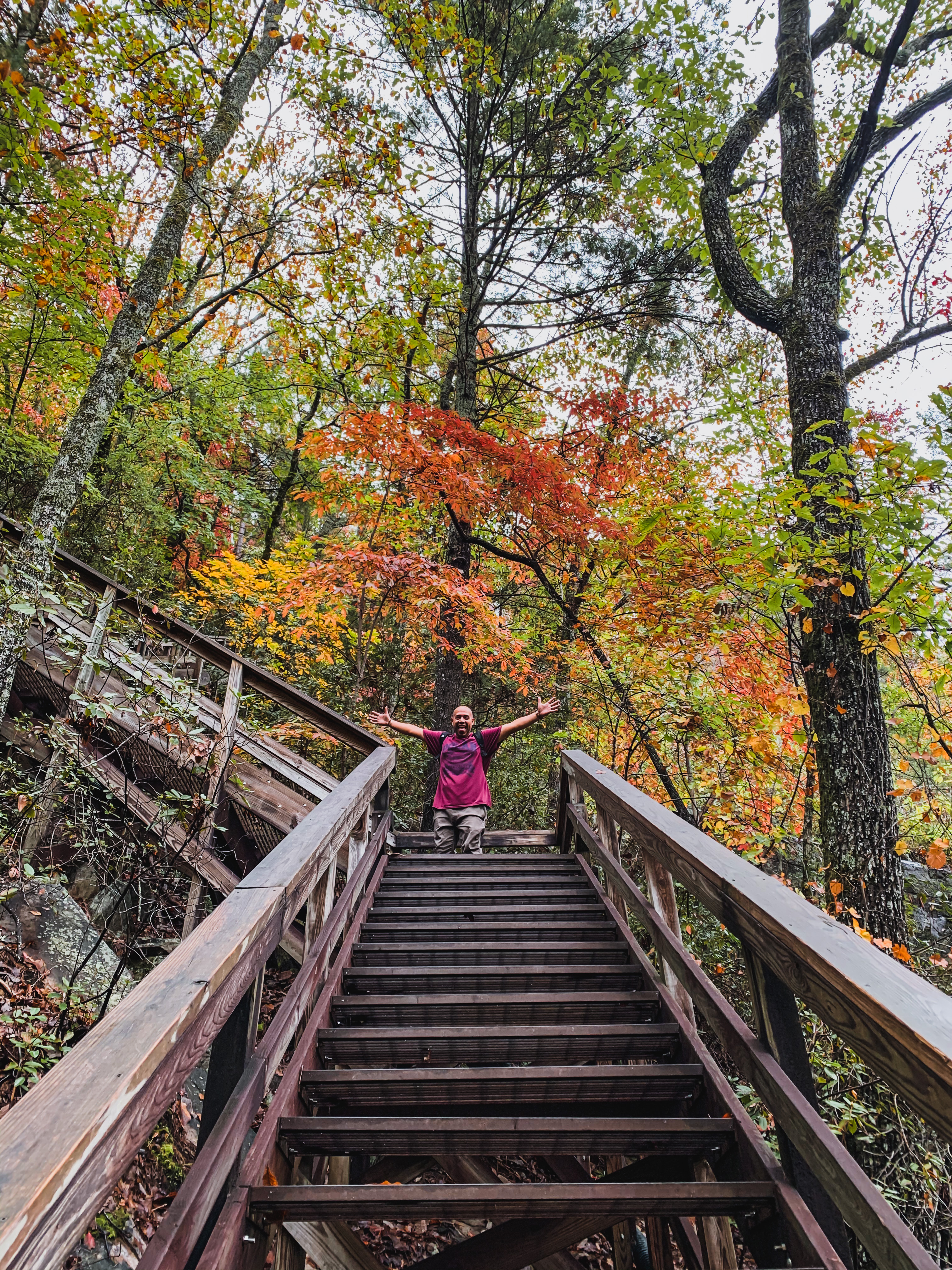 tallulah gorge suspension bridge staircase